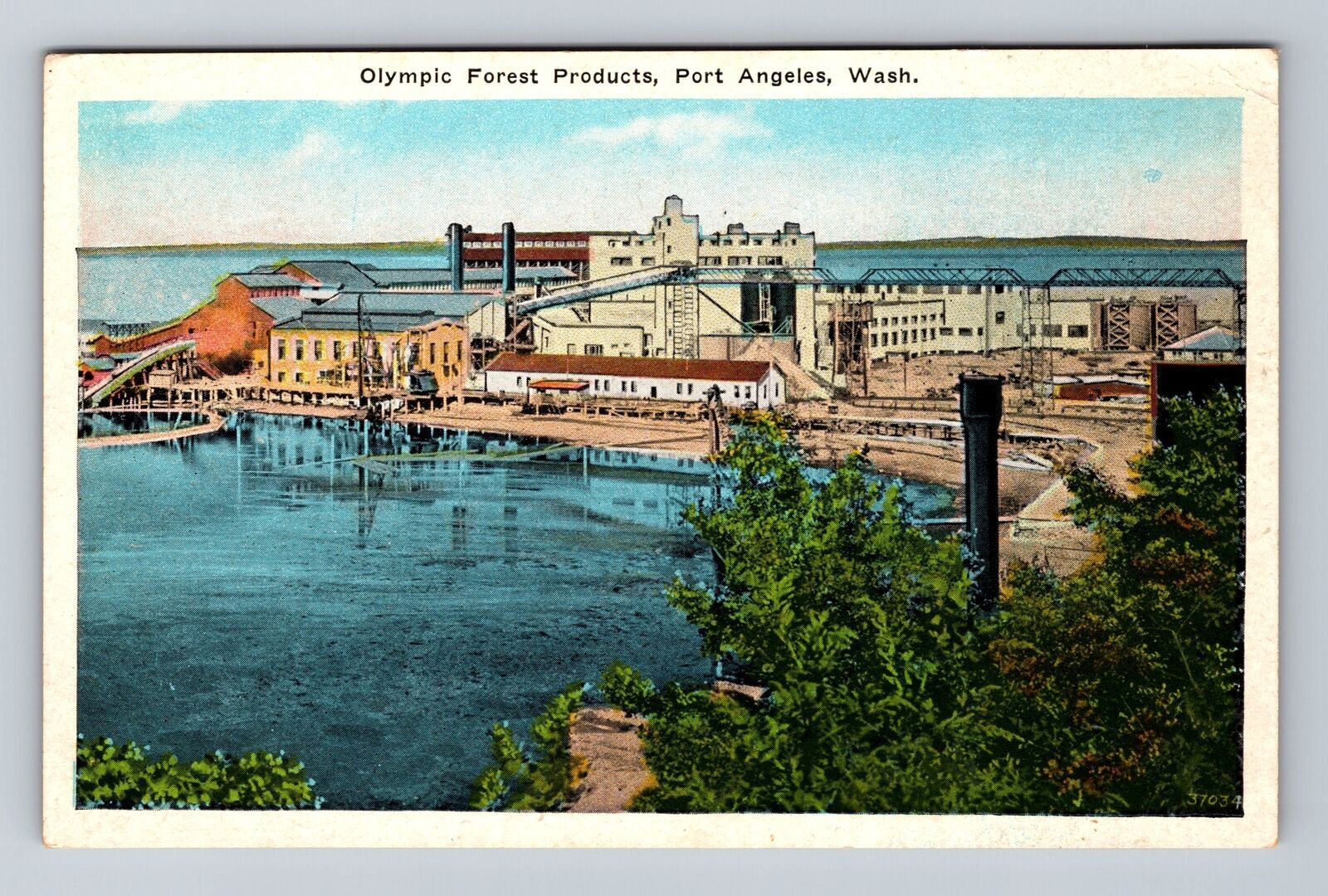 Port Angeles WA-Washington, Olympic Forest Products, Antique Vintage Postcard