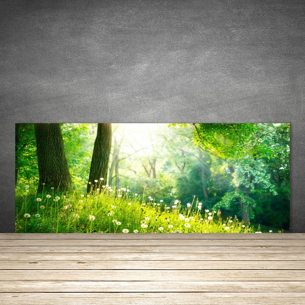 Crédence de cuisine en verre de sécurité 125x50 cm finition brillante Nature Prairie