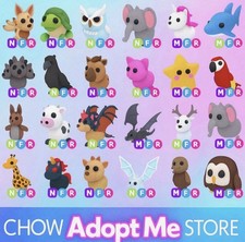 Popular Picks MFR / NFR – Collectible Trading Items