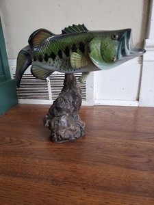 Large Imitation Mouth Bass on Driftwood Base Land & Sea Natural Series Fish