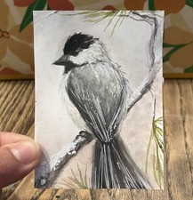 Dipinto acquerello uccellino ramo di pino invernale ACEO originale chickadee on 3,5x2,5