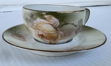 RS Germany Tillowitz Hand Painted Tea Cup and Saucer Gold Trim Floral, Vintage