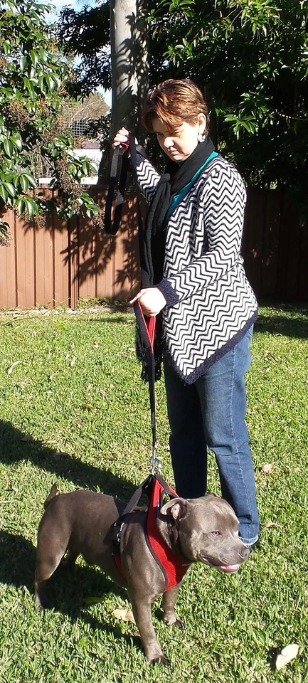 Dog Leash 6ft Long,Traffic Padded Two Handle,Heavy Duty,Reflective Double Han... - Image 4 of 4