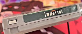 The Immortal (Nintendo Entertainment System NES, 1990) - Cart Only