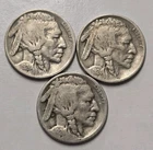 1924, 1924-D, and 1924-S Buffalo Nickel Lot - 3 Coins