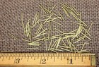 1/2” Solid Brass Brads 100 Nails 20 Gauge Escutcheon Pins Tiny Head USA Made — photo 1