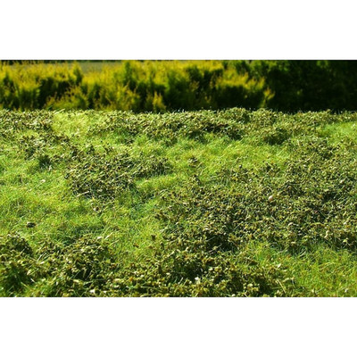 Grasmatte 18x28cm - Niedrige Büsche im Frühling - Modellbau & Diorama Begrünung