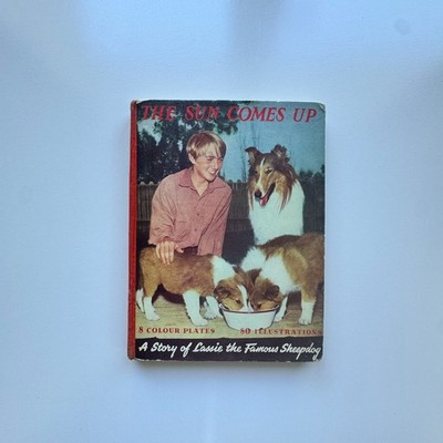 1950 The Sun Comes Up A Story of Lassie Famous Sheepdog Ward Lock Hardcover