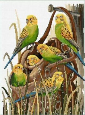 Bush Budgies crosstitch chart Country Threads, optional Zweigart aida DMC thread