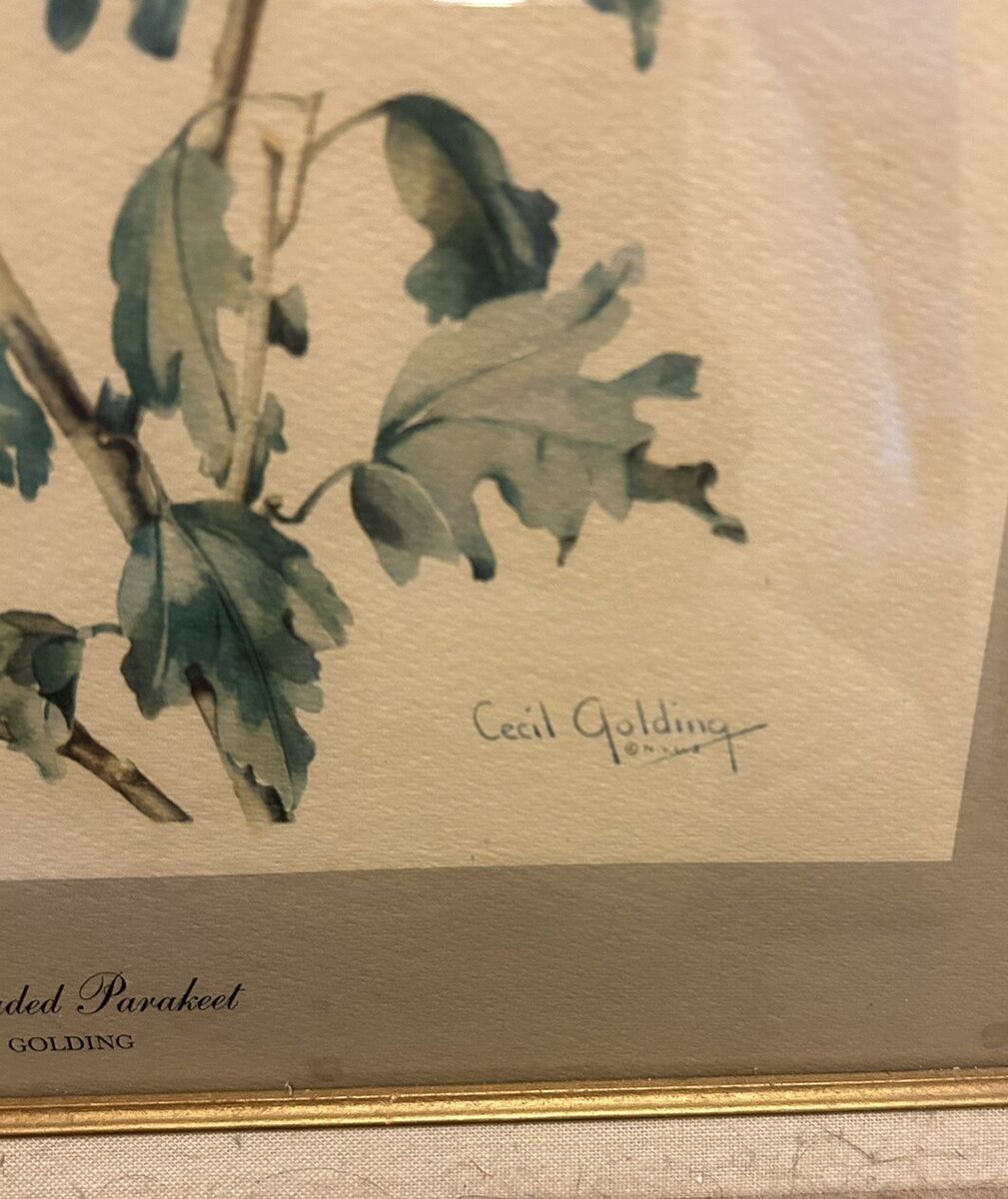 Vintage 1970 Cecil Golding Bird Art Prints Set of 3 Framed