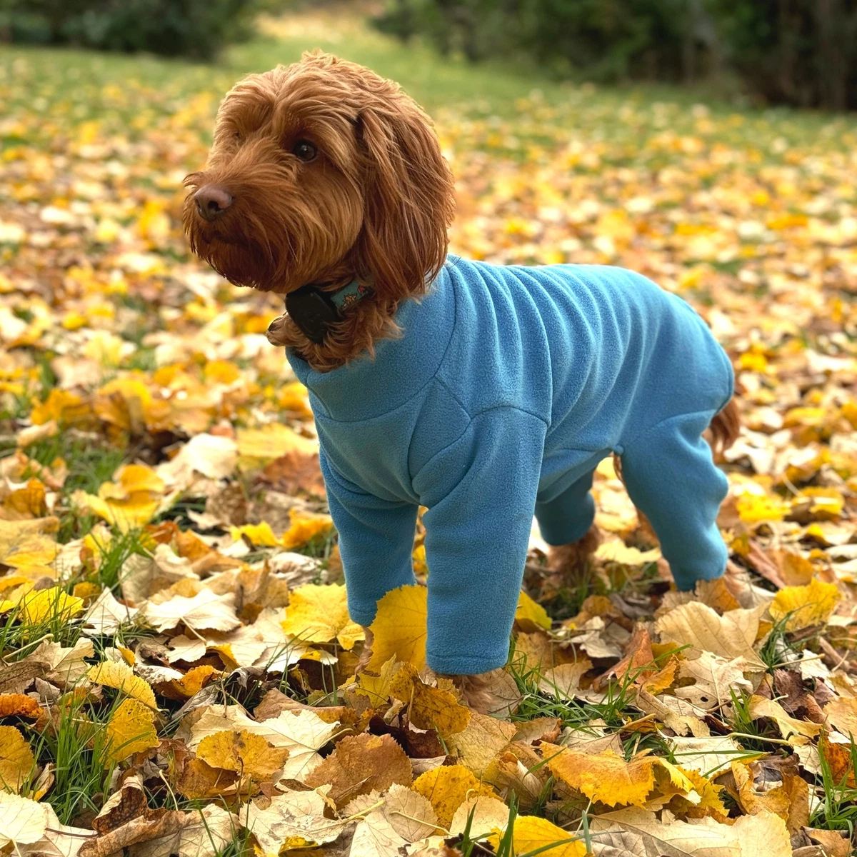 Ebay equafleece top