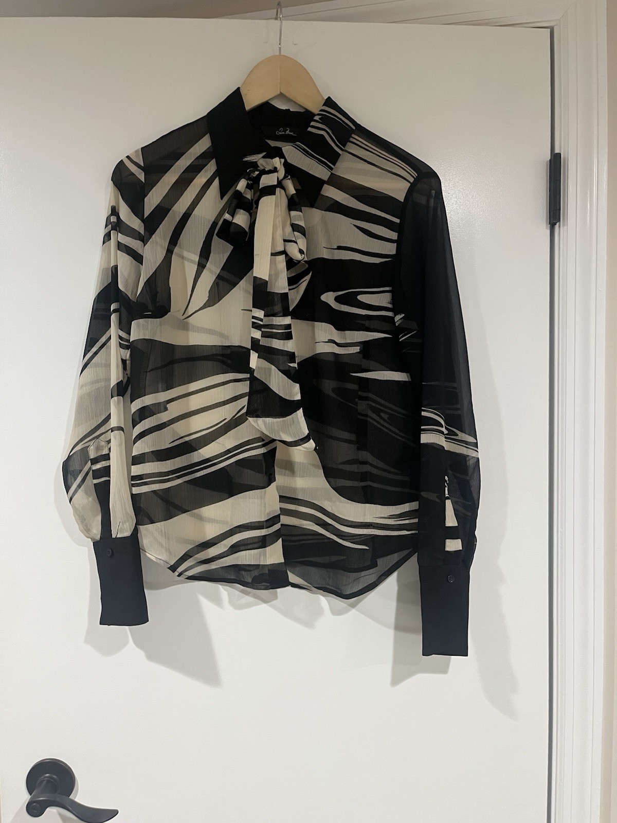 Jan Basic Blouse Top Long Sleeves Transparent Abs… - image 1