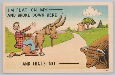 #ad Comics I#x27;m Flat On My amp; Broke Down Here amp; That#x27;s No Mule amp; Bull Vintage PC $2.51
