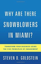 Why Are There Snowblowers in Miami?: Transform Your Business Using