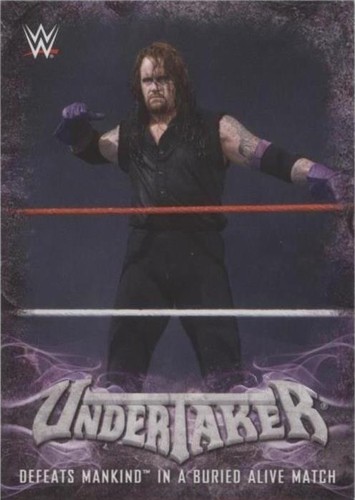 WWE UNDERTAKER REPLICA COMMEMORATIVE URN WITH COFFIN CASKET | eBay