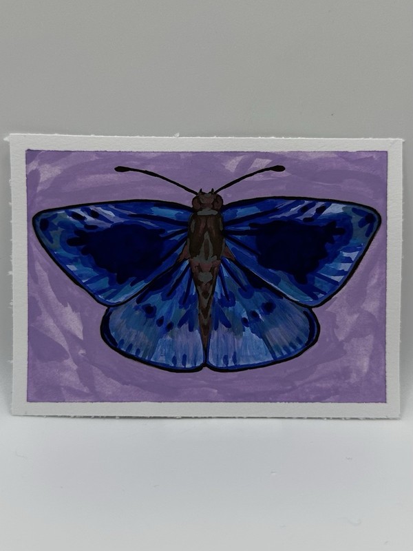Original ACEO Blue Butterfly Bug Insect, Mini Painting 2.5”x3.5” Gouache Artwork