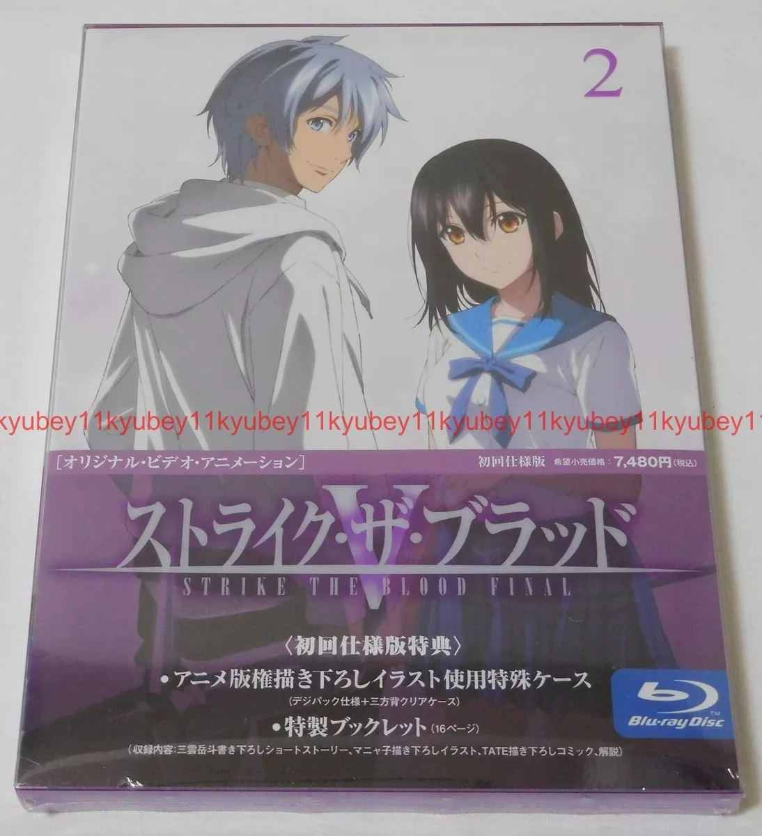 strike the blood vol 2 manga