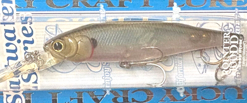 (2) Lucky Craft Pointer 100DD Deep Diver Suspending Jerkbait -Salty Ghost Minnow - Picture 6 of 10