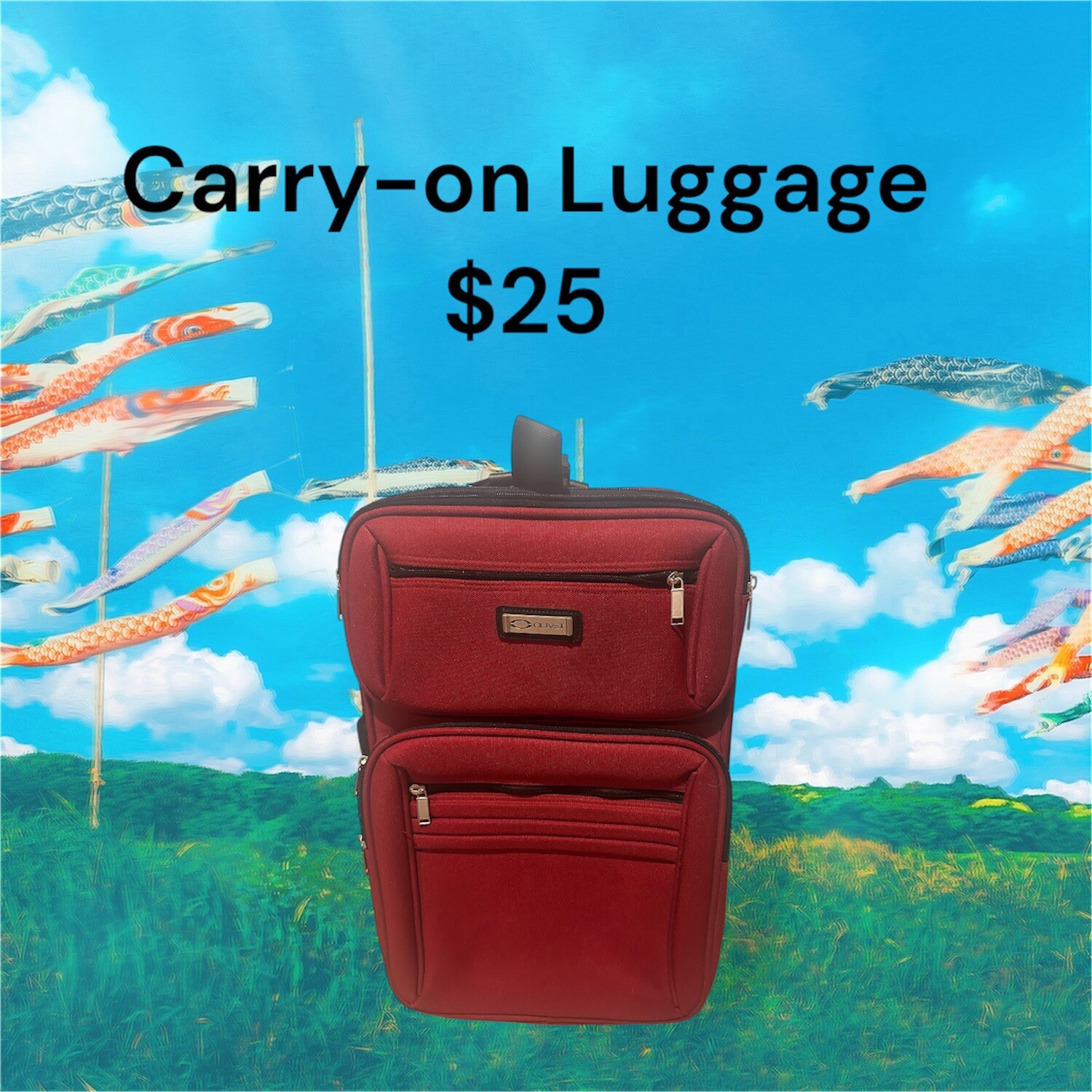 Olivet Lightweight Carry-On Luggage for Easy Travel-image