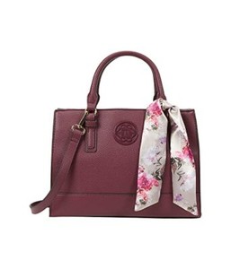 ski bolsa united airlines