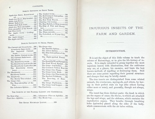 Rare! Injurious Insects of the Farm & Garden by Mary Treat - 1882 HC Illustrated - Picture 11 of 24