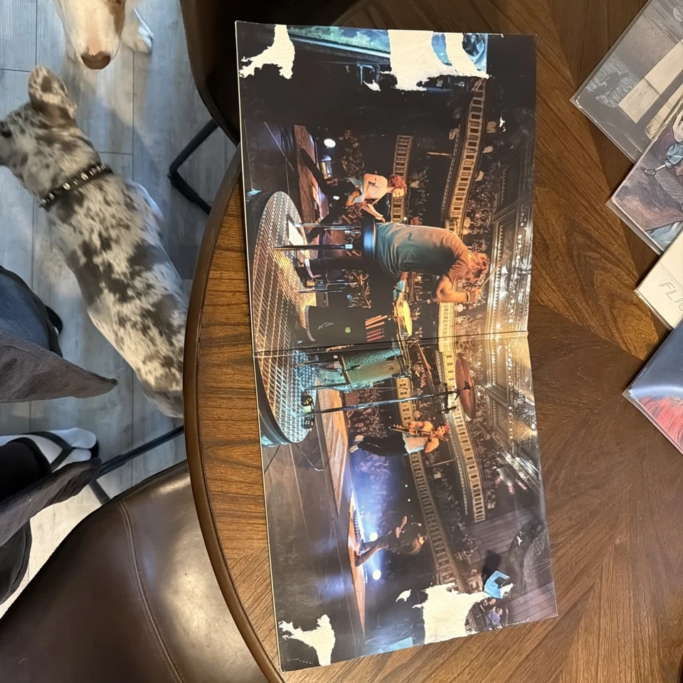 T5-93 THIRD EYE BLIND Dopamine - AUTOGRAPHED  -DOUBLE LP - 2015 - ALTERNATIVE - Image 2 of 4