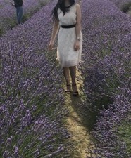 SUMMER SALE Sleeveless Lace dress Ted Baker Size 8