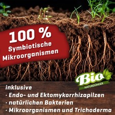 ART-5090 Plant BoOoM Myco-Rhiza I Mykorrhiza ...