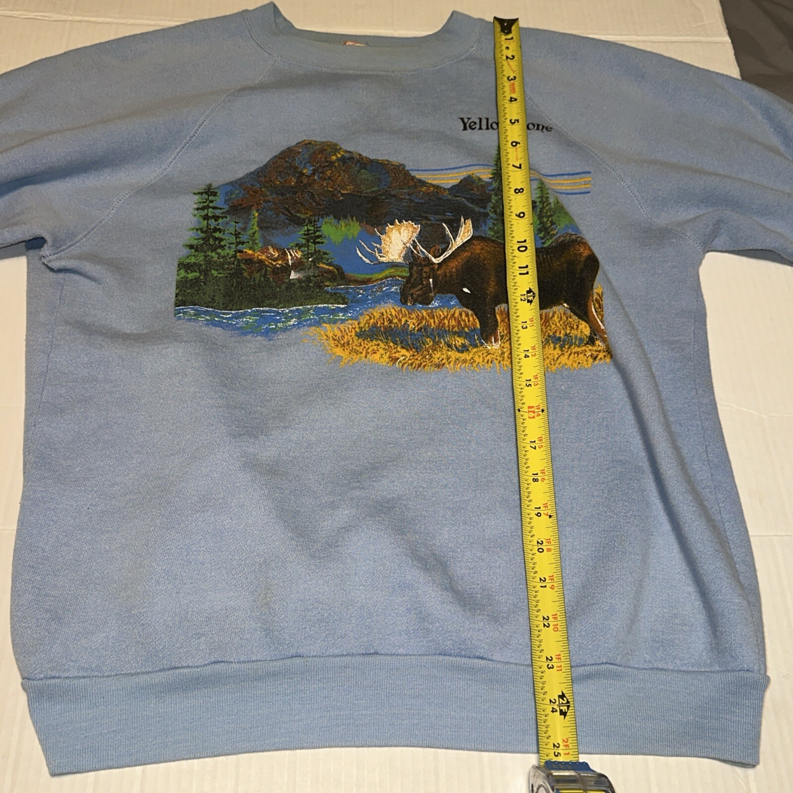 Picture 3 of 13