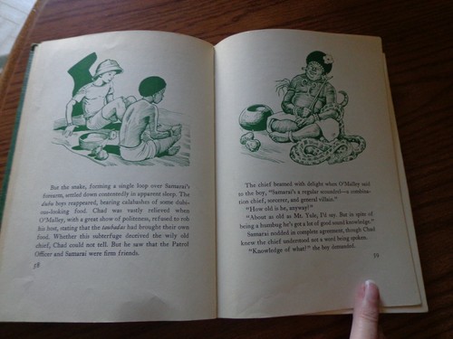 Der Regenwald von Armstrong Sperry 1947 1. Auflage - Bild 8 von 9