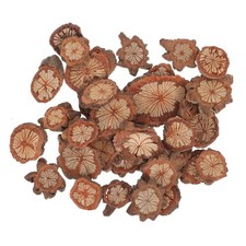 Wood Slices Small Unfinished Wood Natural Tree Bark Irregular Log Slices for ...