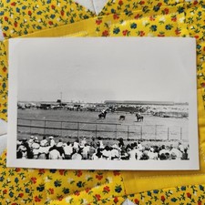 VTG B&W Snapshot Photo 1950s Redwood City Rodeo Team Rooing Cowboy Western 1953