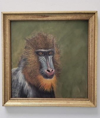 Original Realistic 10 x 10 Mandrill Monkey Acrylic Painting on Board Framed