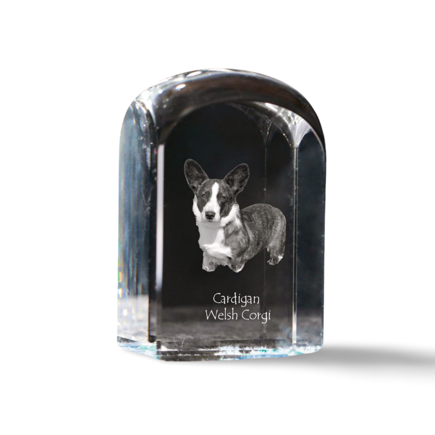 Cardigan Welsh Corgi I - crystal cube with a photo, photo of a dog in crystal, c-image