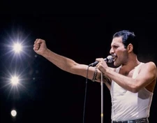 Freddie Mercury Queen   8x10 Celebrity Photo Photograph  298342