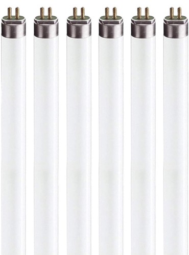 FC8T9/CW 22W & FC12T9/CW 32W Circular Fluorescent Bulb Set – Cool White 4100K, G10q 4-Pin Base, 2800 Lumens, For Ceiling Fans & Bathroom Lights