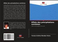 Effets Des PréCipitations ExtrêMes Dans La Ville De Belo Horizonte Vieira Buch