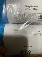 Big Twist Value Yarn Cyan 2 pack