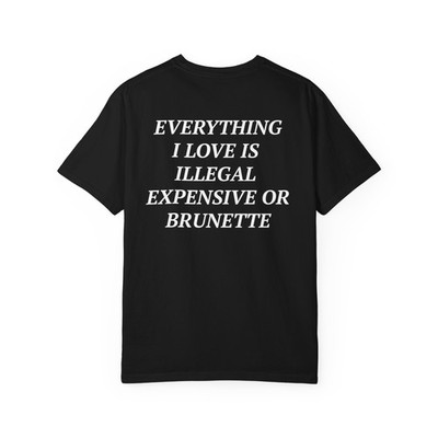 Everything I Love is Illegal Expensive or Brunette T-Shirt|Funny Festival Shirt