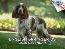 English Springer Calendar Dog Breed Calendar 2026 12x18 Made in USA