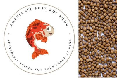 #ad #ad America#x27;s Best Koi Food Large Floating Pond Pellets 32% Protein Koi Fish Food $22.40