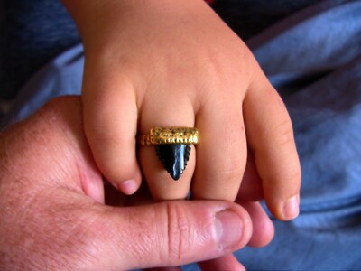 Shark Tooth Ring, 24K gold and Black Coral