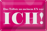 Blechschild Spruch 30X20 Cm Tollste An Meinem Ex War Ich Deko Schild Tin Sign