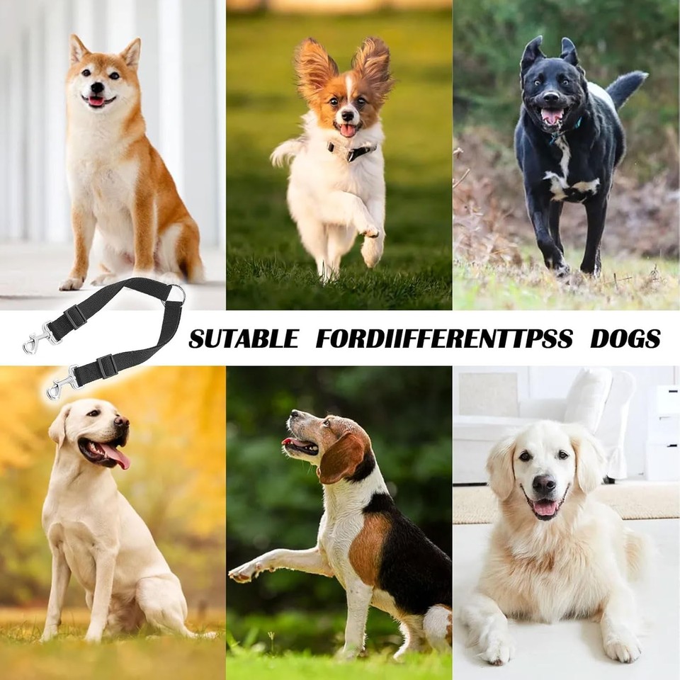 3-Wege Hundeleine - Verhedderungsfreie Mehrhunde-Leine Für 2-3 Hunde