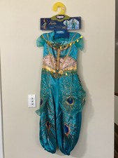 Disney Aladdin Princess Jasmine Deluxe Costume by Disguise Youth S 4-6X 