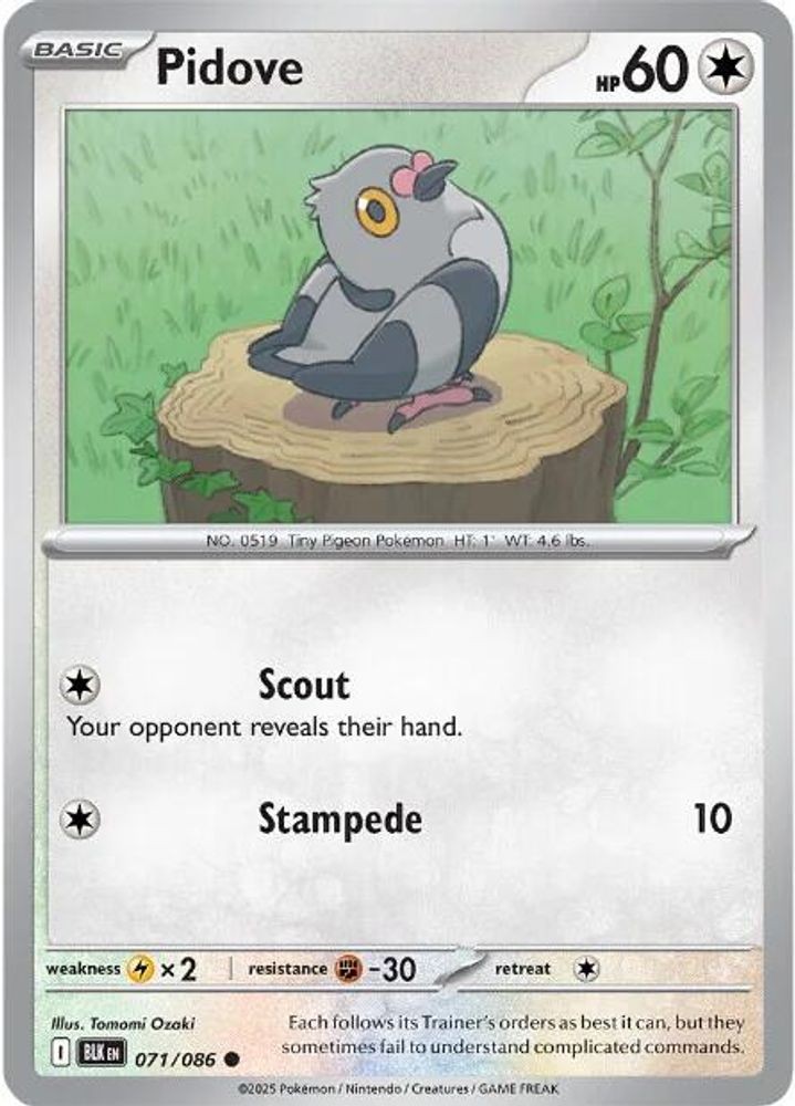 Pidove 071/086 Black Bolt Common Pokemon NM/M