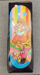 Echo Microphone Toy