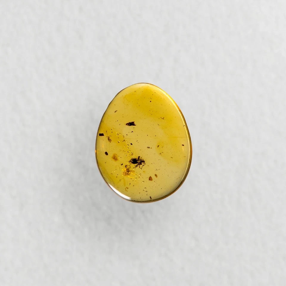 UNKNOWN SPIKEY BUG in Burmese / Burmite amber fossil / 100% genuine amber - Image 3 of 4