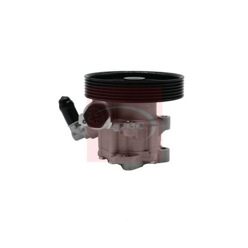 For PEUGEOT 407 SW 6E 6D 2004 to 2011 POWER STEERING PUMP APS1167