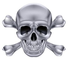 Autoaufkleber Sticker Totenkopf Skull silberfarben Aufkleber